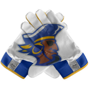 Cornell Raiders Custom Football Glove