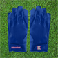 Victory Custom Football Gloves By The Pair (A1)