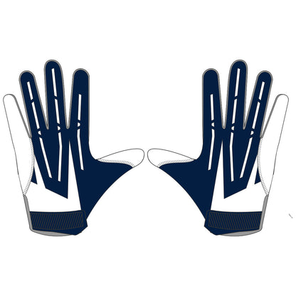 Abington Heights Team Football Gloves