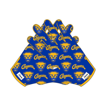 Campbellsport Team Football Gloves 2026