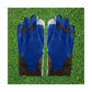 Victory Custom Football Gloves By The Pair (A1)