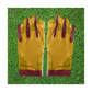 Victory Custom Football Gloves By The Pair (A1)